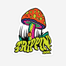DGK Trippin' Sticker