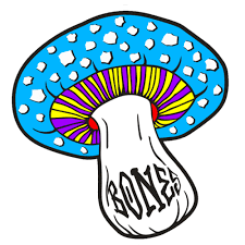 Bones Wheels Reyes Portal 3" Assorted Mushroom Sticker