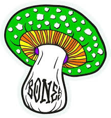 Bones Wheels Reyes Portal 3" Assorted Mushroom Sticker
