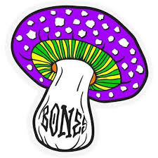 Bones Wheels Reyes Portal 3" Assorted Mushroom Sticker